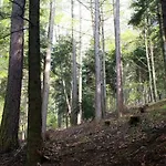 W Kozubniku Z Widokiem Na Gory Appartement Porąbka