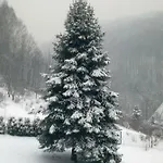 W Kozubniku Z Widokiem Na Gory Porąbka