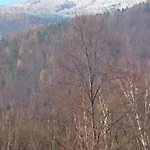 W Kozubniku Z Widokiem Na Gory Appartement *