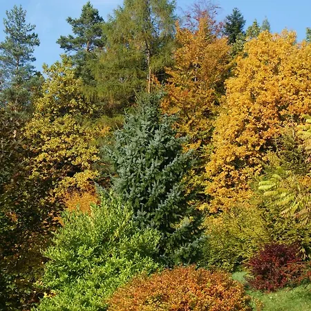 Appartement W Kozubniku Z Widokiem Na Gory *