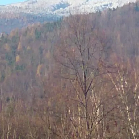 W Kozubniku Z Widokiem Na Gory Appartement *