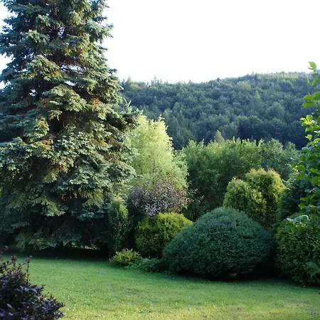 W Kozubniku Z Widokiem Na Gory * Porąbka