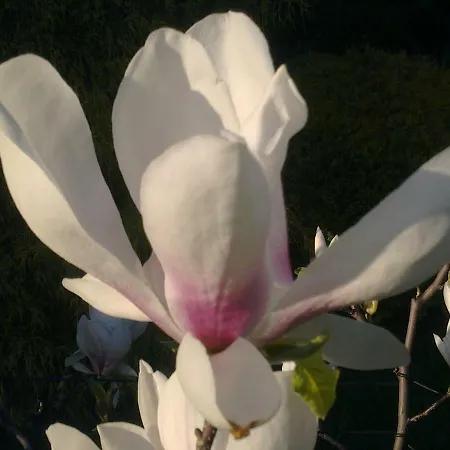 W Kozubniku Z Widokiem Na Gory Appartement Porąbka