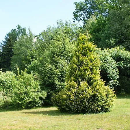 W Kozubniku Z Widokiem Na Gory * Porąbka