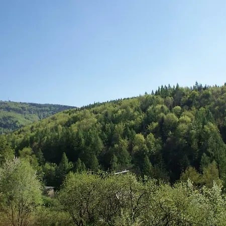 W Kozubniku Z Widokiem Na Gory Appartement *