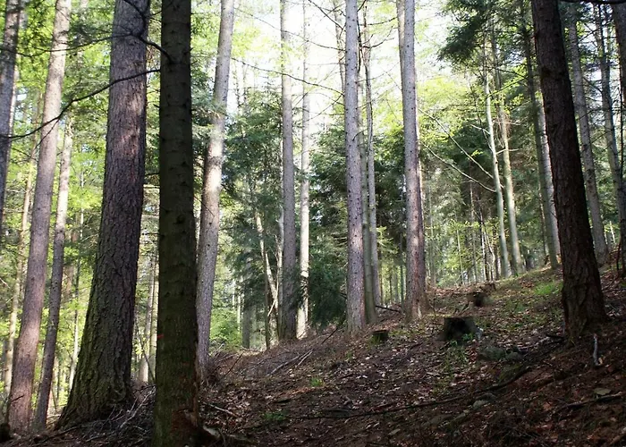 W Kozubniku Z Widokiem Na Gory Appartement Porąbka
