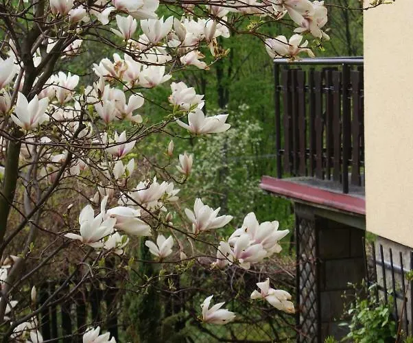 W Kozubniku Z Widokiem Na Gory Appartement *