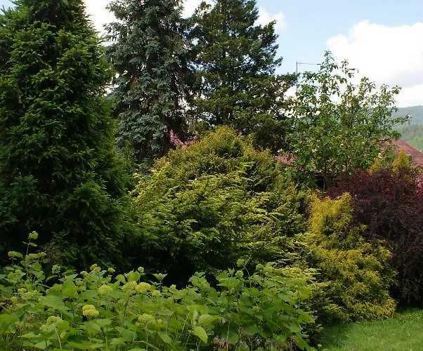 W Kozubniku Z Widokiem Na Gory Appartement *