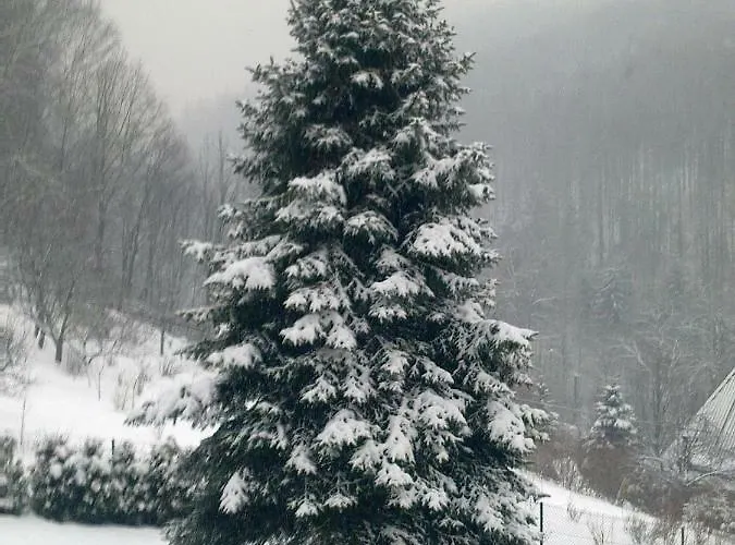 W Kozubniku Z Widokiem Na Gory Porąbka