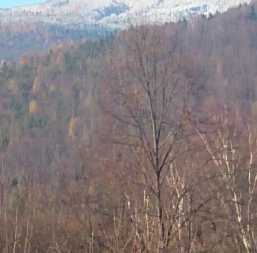 W Kozubniku Z Widokiem Na Gory Appartement *