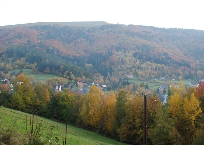 Appartement W Kozubniku Z Widokiem Na Gory Porąbka