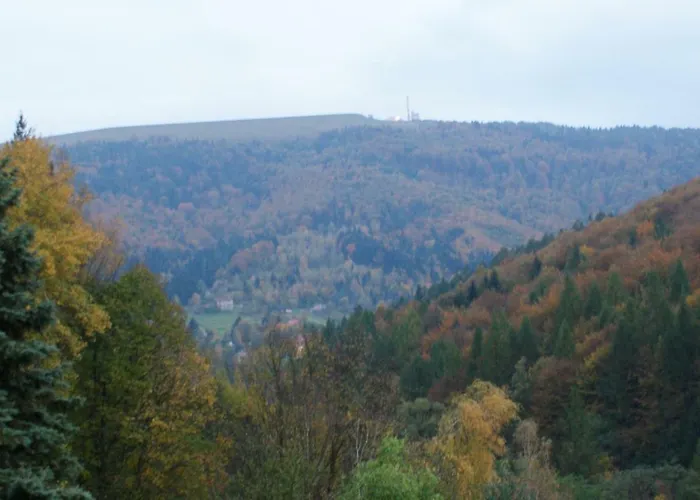 W Kozubniku Z Widokiem Na Gory شقة Porąbka