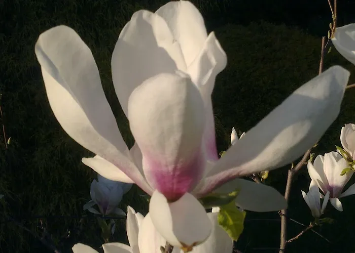 W Kozubniku Z Widokiem Na Gory شقة Porąbka