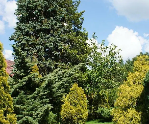 شقة W Kozubniku Z Widokiem Na Gory