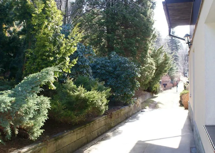 W Kozubniku Z Widokiem Na Gory