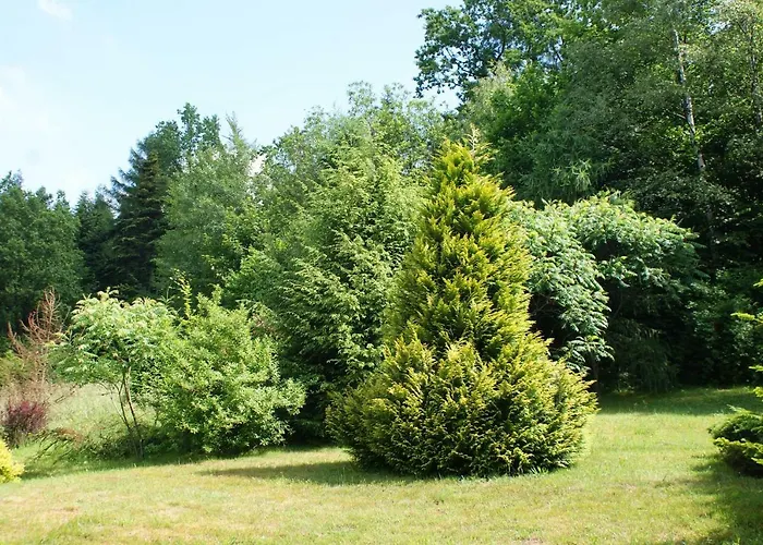 W Kozubniku Z Widokiem Na Gory * Porąbka