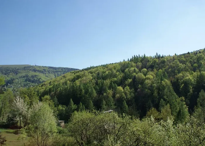 W Kozubniku Z Widokiem Na Gory Appartement *