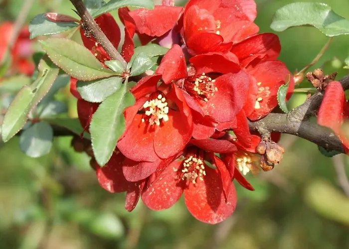 W Kozubniku Z Widokiem Na Gory Appartement Porąbka